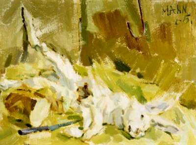 Hare and Hook, 1965